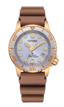 Citizen Promaster EO2022-02A Eco-Drive Grey Dial Diver Women Watch