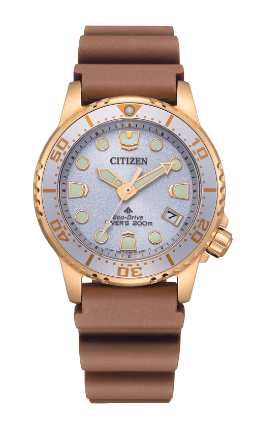 Citizen Promaster L EO2022-02A Eco-Drive Grey Dial Diver Women Watch