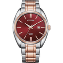 Citizen Quartz BI5104-57X Stainless Steel Maroon Dial Men Watch