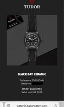 [Pre-Owned] Tudor Black Bay 41 79210 Black Ceramic Automatic Men Diver Watch