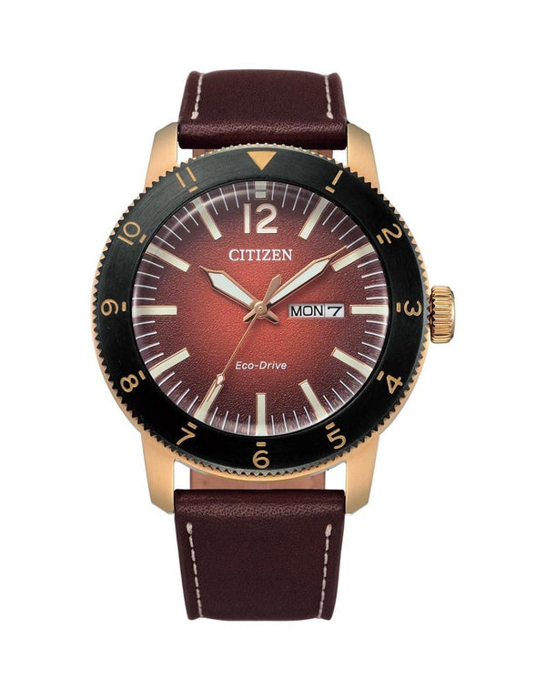 Citizen Eco-Drive AW0079-13X Brown Leather Analog Men Watch Malaysia