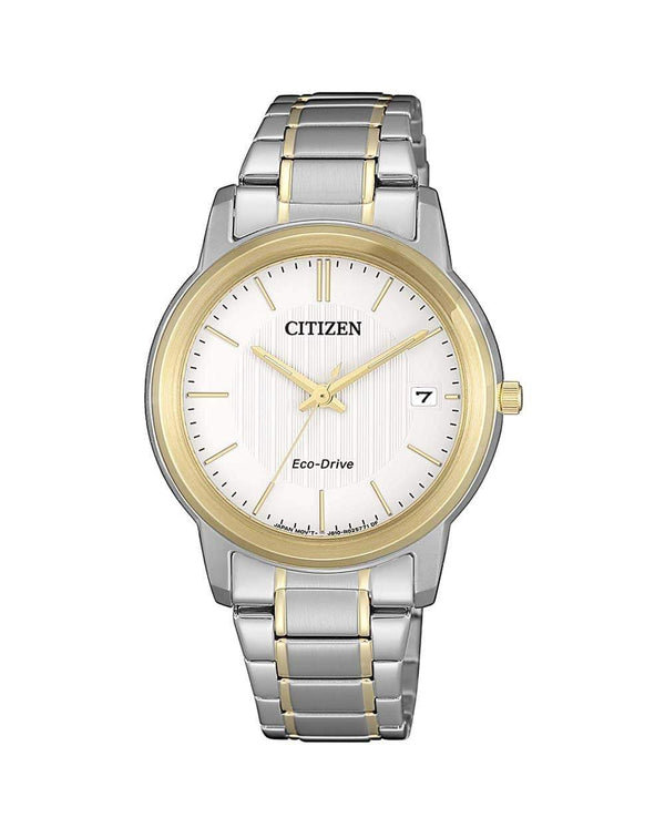 Citizen Eco-Drive FE6016-88A Stainless Steel Woman Watch Malaysia