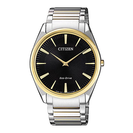 Citizen Eco-Drive AR3078-88E Water Resistant Men Watch Malaysia