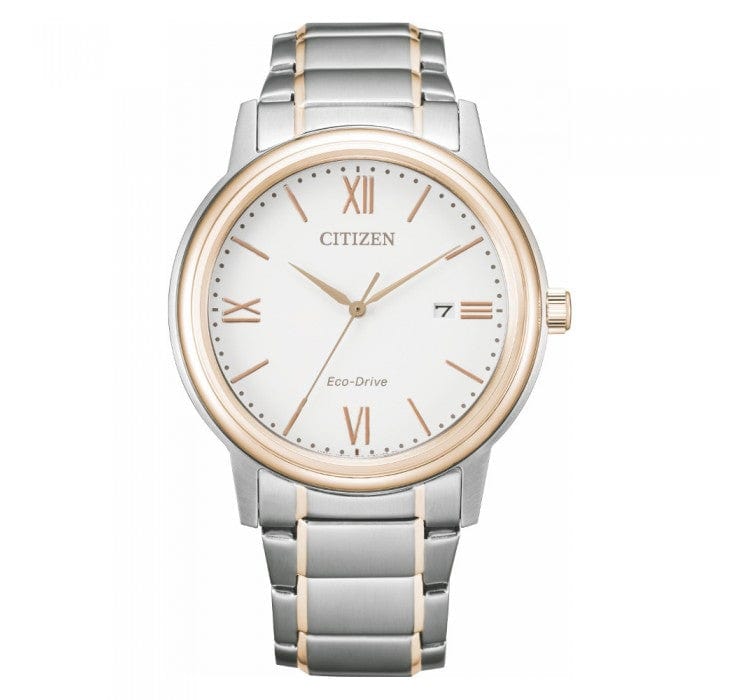 Citizen Eco-Drive AW1676-86A Stainless Steel Men Watch Malaysia